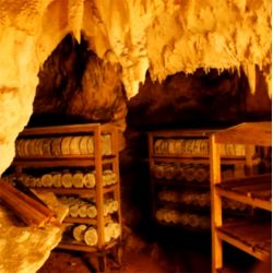 La Cueva de Maduración del queso Gamoneu